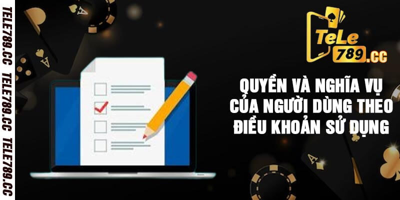 Quyền Và Nghĩa Vụ Của Người Dùng Theo Điều Khoản Sử Dụng